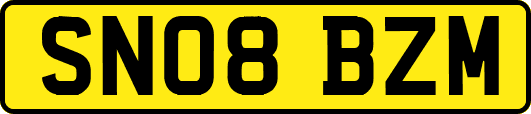 SN08BZM