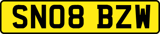 SN08BZW