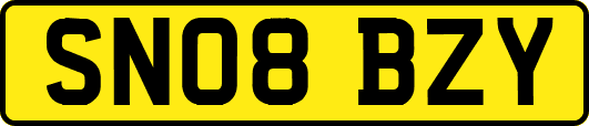 SN08BZY