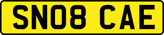 SN08CAE