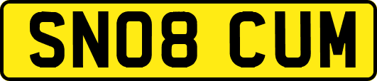 SN08CUM