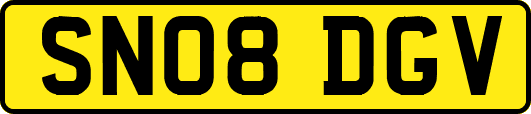 SN08DGV