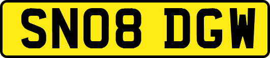 SN08DGW