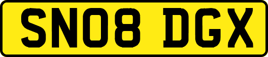 SN08DGX