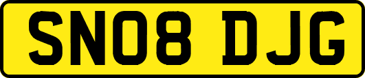 SN08DJG