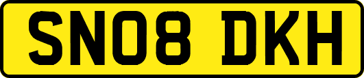 SN08DKH