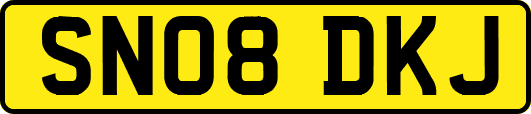 SN08DKJ