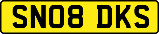 SN08DKS