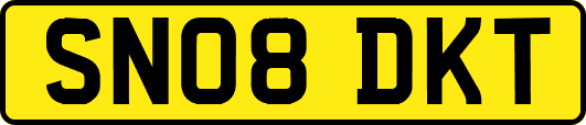 SN08DKT