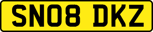 SN08DKZ