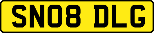 SN08DLG