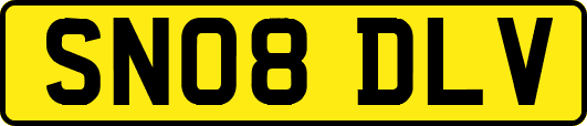 SN08DLV