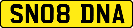 SN08DNA