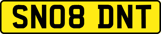 SN08DNT