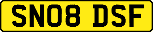 SN08DSF