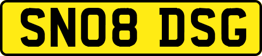 SN08DSG
