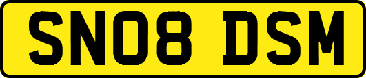 SN08DSM