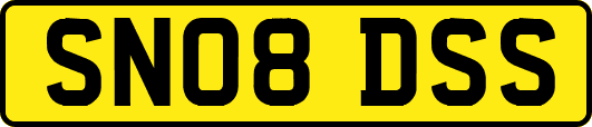 SN08DSS