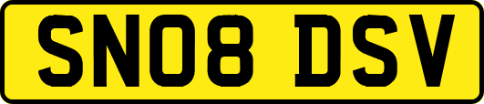 SN08DSV