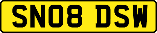 SN08DSW