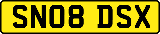 SN08DSX