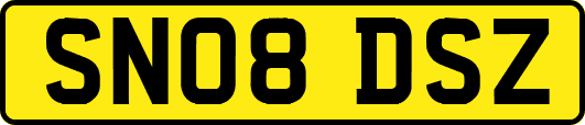 SN08DSZ