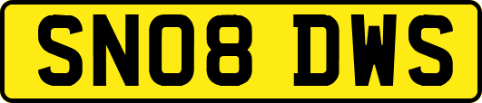 SN08DWS
