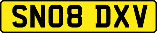 SN08DXV