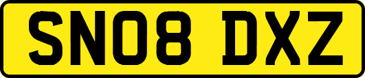 SN08DXZ