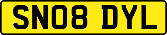 SN08DYL