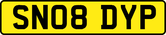SN08DYP