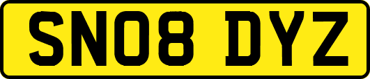 SN08DYZ