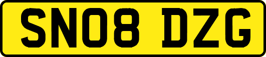 SN08DZG