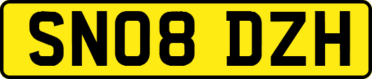 SN08DZH
