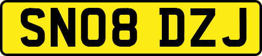 SN08DZJ
