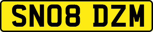 SN08DZM