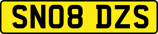 SN08DZS