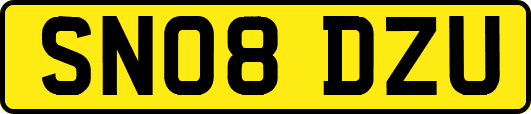 SN08DZU