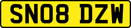 SN08DZW