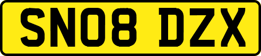 SN08DZX