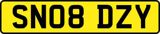 SN08DZY
