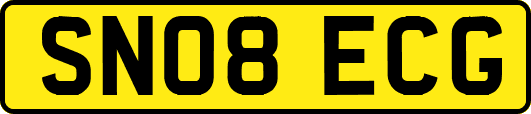 SN08ECG