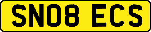 SN08ECS