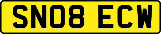 SN08ECW