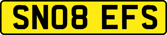 SN08EFS