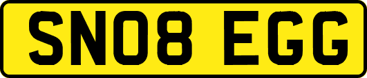 SN08EGG