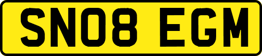 SN08EGM
