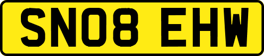 SN08EHW