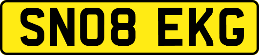 SN08EKG