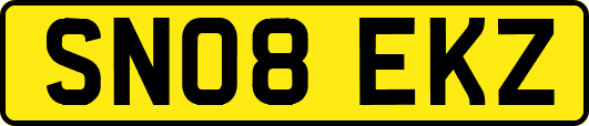 SN08EKZ